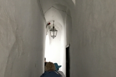 20170429_083200 IMG_2562